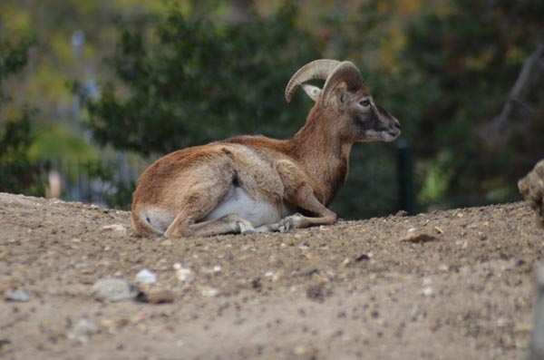 056-18-10-06-_GA1_0444-Paris-Paris