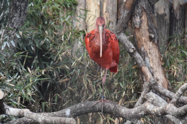 062-18-10-06-_GA2_0550-Paris-Paris