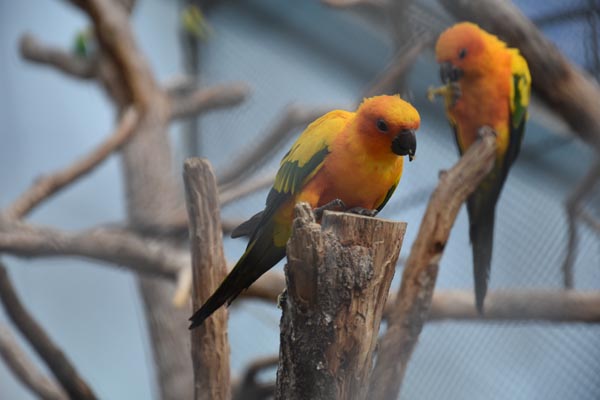 063-18-10-06-_GA2_0551-Paris-Paris