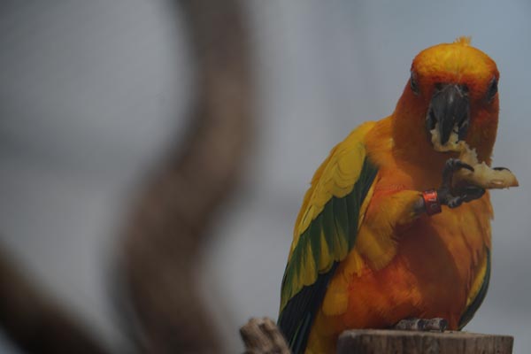 064-18-10-06-_LeS_DSC03613-Paris-Paris