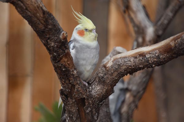 067-18-10-06-_GA2_0562-Paris-Paris