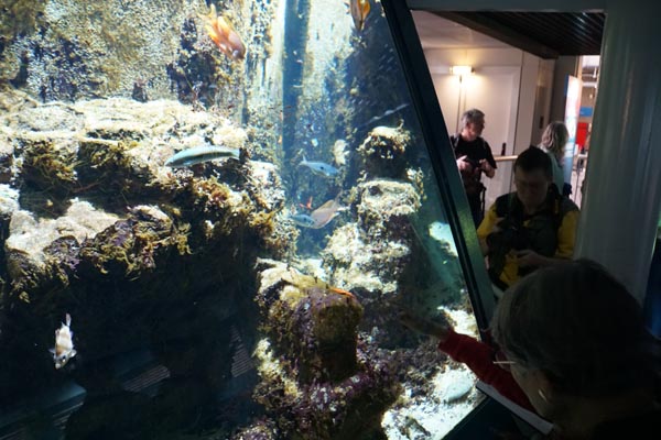 107-18-10-07-_LeS_DSC03829-Paris-Paris